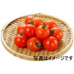 【5／16（金）配送分】愛知・熊本県産他 ミニトマト大パック 1パック