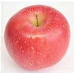 【11／15（土）配送分】りんご（早生ふじ）（青森県産）1個