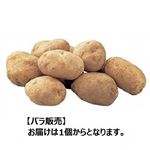 【6／6（火）配送分】静岡県産他 じゃがいも 1個