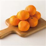 【12／7（日）配送分】とぴあみかん3kg入・1箱（静岡県産・JAとぴあ浜松）Mサイズ