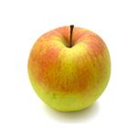 【11／18～19配送分】長野県・青森県産 りんご（ぐんま名月）Mサイズ 1個