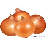【予約商品：6／26～6／30配送限定】 佐賀・兵庫県産他玉ねぎ M～Lサイズ 5kg箱（約25個）※個数はサイズにより前後する場合がございます。