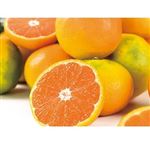 【11／28～30配送分】静岡県産他 みかん（メガパック）2.5kg入 1パック