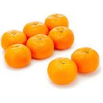 【11／15・16配送分】とぴあみかん1袋（静岡県産他）★東海味だより