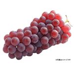 【8／10（日）配送分】山形県産 JA山形おきたまのぶどう（デラウェア）1パック