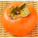 【11／8-10配送分】次郎柿（バラ）1個（愛知県産）