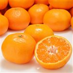 【11／22（土）配送分】静岡県産 とぴあみかん 1袋