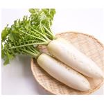 【11／19（水）配送分】静岡県産 葉付きだいこん 1本