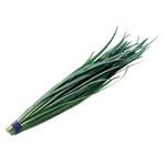 【12／6～7配送分】高知・長崎県産他 にら 1袋