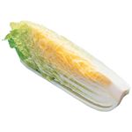 【10／18～19配送分】長野県産他 はくさい 1／4カット
