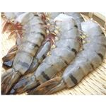 【11／28～30配送分】インド産ほか ブラックタイガーえび（養殖・解凍）10尾