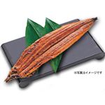 国内産うなぎ長蒲焼 1尾