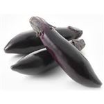 【11／15・16配送分】なす（とげなしビーナス）1袋（愛知県産）★愛知じもの