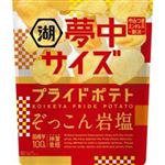 【9／13～16配送分】湖池屋 夢中サイズプライドポテト ぞっこん岩塩 102g