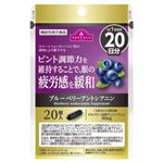 トップバリュ 機能性表示食品 ブルーベリーアントシアニン 20日分 20粒