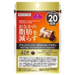 トップバリュ 機能性表示食品 ブラックジンジャーポリメトキシフラボン 20日分 40粒