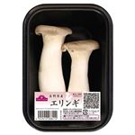 【12／9（火）配送分】トップバリュ エリンギ 1パック（広島・長野県産他）