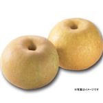 【8／15-17配送分】トップバリュJAあいち豊田の梨（2個入・1パック）（愛知県産）★愛知じもの
