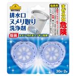 トップバリュ ベストプライス 排水口ヌメリ取り 30gX2個