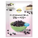 【10／10～13配送分】TVベストプライス ブルーベリー 500g