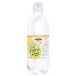トップバリュ ベストプライス 炭酸水パインアップル 500ml