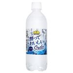 トップバリュ ベストプライス 割っておいしいSoda 500ml