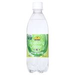 トップバリュ ベストプライス 炭酸水グレープフルーツ 500ml