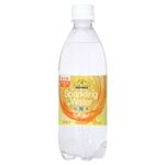 トップバリュ ベストプライス 炭酸水レモン 500ml