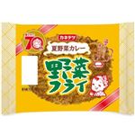 【7／1・2配送分】カネテツデリカフーズ 野菜フライ 夏野菜カレー 2枚