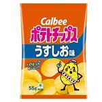 カルビー ポテトチップスうすしお味 55g