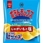 【7／19-22配送分】湖池屋 Largeポテトチップス じゃがいもと塩 112g