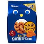 【9／16（火）配送分】東ハト ソルティキャラメルコーン 67g