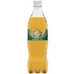 【11／22（土）配送分】コカ・コーラ カナダドライジンジャーエール 700ml