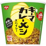 【11／9（日）配送分】日清食品 キーマカレーメシ スパイシー 1個