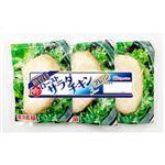 日本ハム ローストサラダチキン プレーン 156g（3パック）