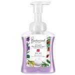 レキットベンキーザー ミューズ 泡ハンドソープ ボタニカル 本体 250ml
