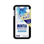 アサヒグループ食品 ミンティアブリーズシルバー 30粒入