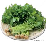 【7／19（土）配送分】埼玉・茨城県産他 みつば 1袋