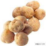 【予約商品：6／26～6／30配送限定】 長崎・鹿児島県産他じゃがいも サイズ無選別 2.5kg箱