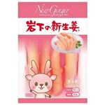 【7／19（土）配送分】岩下食品 岩下の新生姜 100g