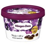 ハーゲンダッツ ミニカップ ラムレーズン 110ml★よりどり4個ご購入ごとに100WAONPOINTプレゼント（アソートボックスは１個で３個換算）