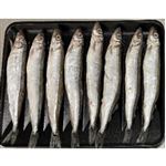 【11／28～30配送分】原料原産地：アイスランド他 子持ちからふとししゃも 1パック