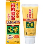 【7／6（日）配送分】小林製薬 ひきしめ生葉 100g