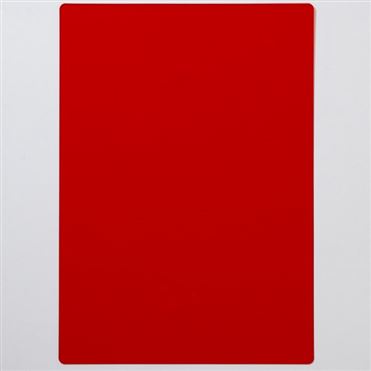 おうちでイオン イオンネットスーパー トップバリュ サイズ下敷き レッド 21cm 29 7cm