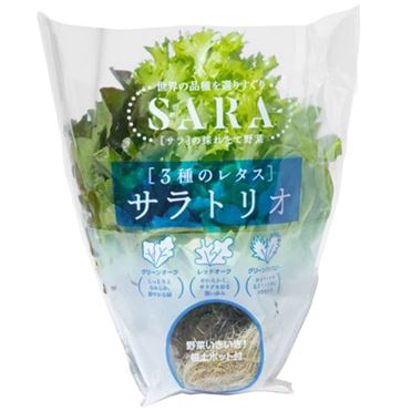 3種のレタス サラトリオ 1パック | イオン九州のネットスーパー