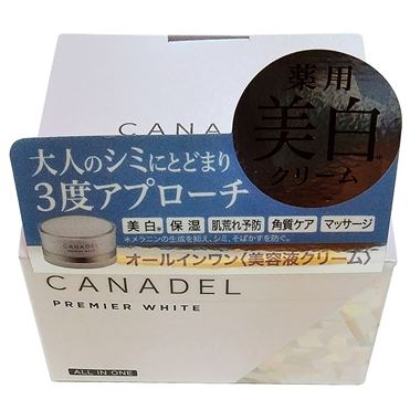 おうちでイオン イオンネットスーパー プレミアaa カナデル プレミアホワイトオールインワン 58g