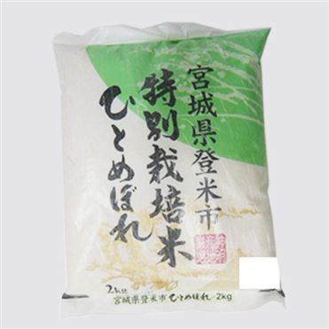 令和6年度産 玄米 19kg 宮城県産 ひとめぼれ