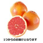 南アフリカ産など外国産グレープフルーツ  （ルビー）　1玉