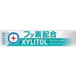 ロッテ キシリトールガム＋フッ素（ペパーミント）14個入