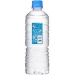 アサヒ おいしい水 天然水 シンプルecoラベル（六甲）PET 600ml